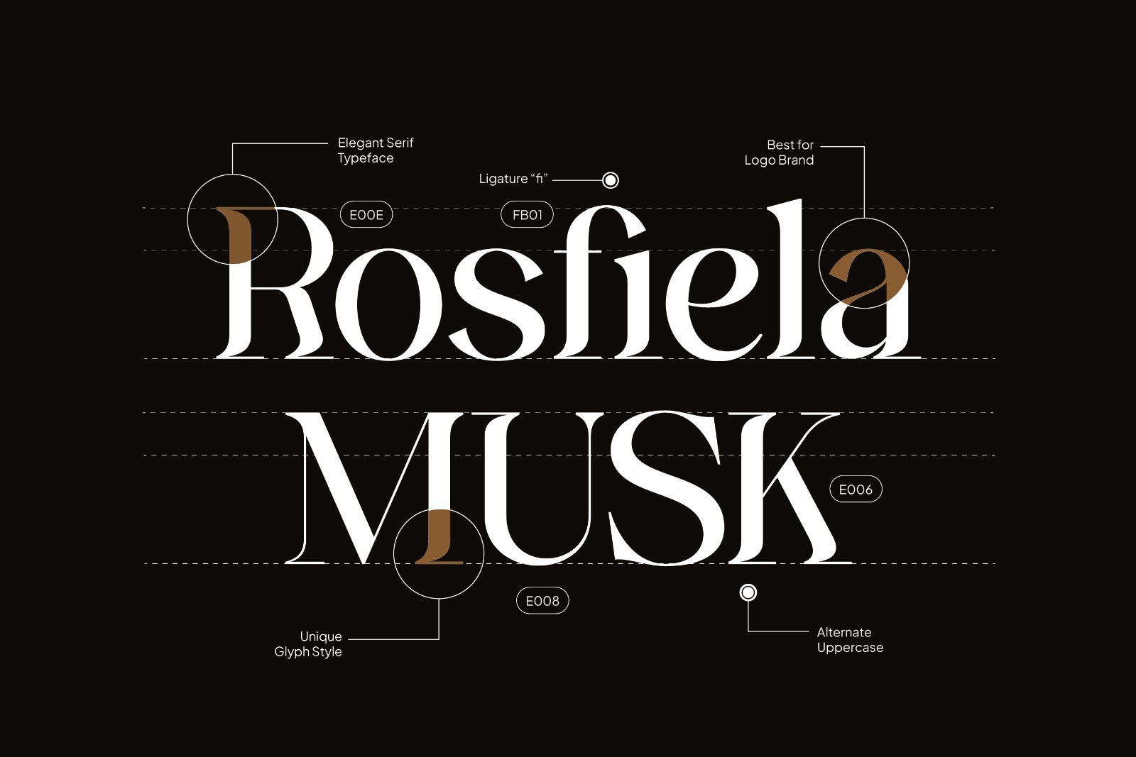 Ginka Voraxe – Modern Stylish Serif