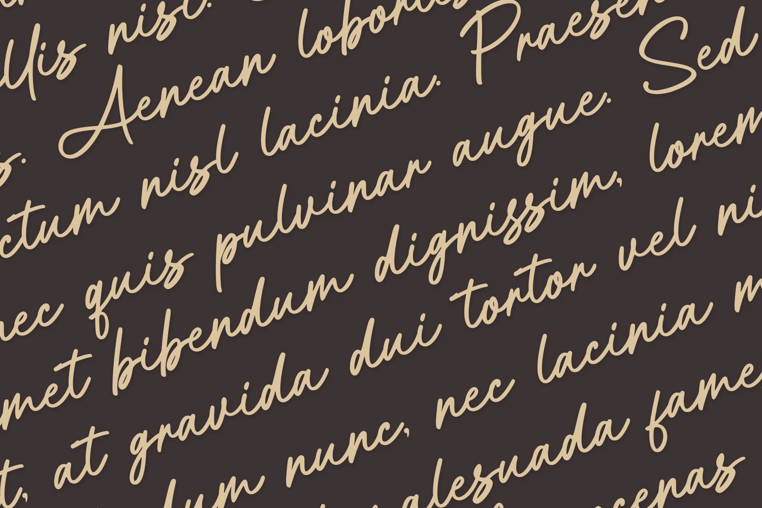 Aittemia Seikage Handwriting font — image 2