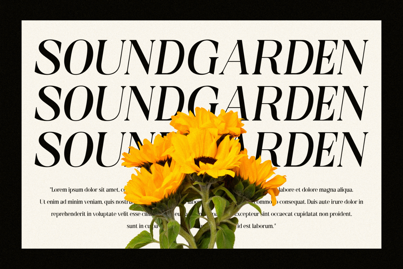 Phantom Serif Font