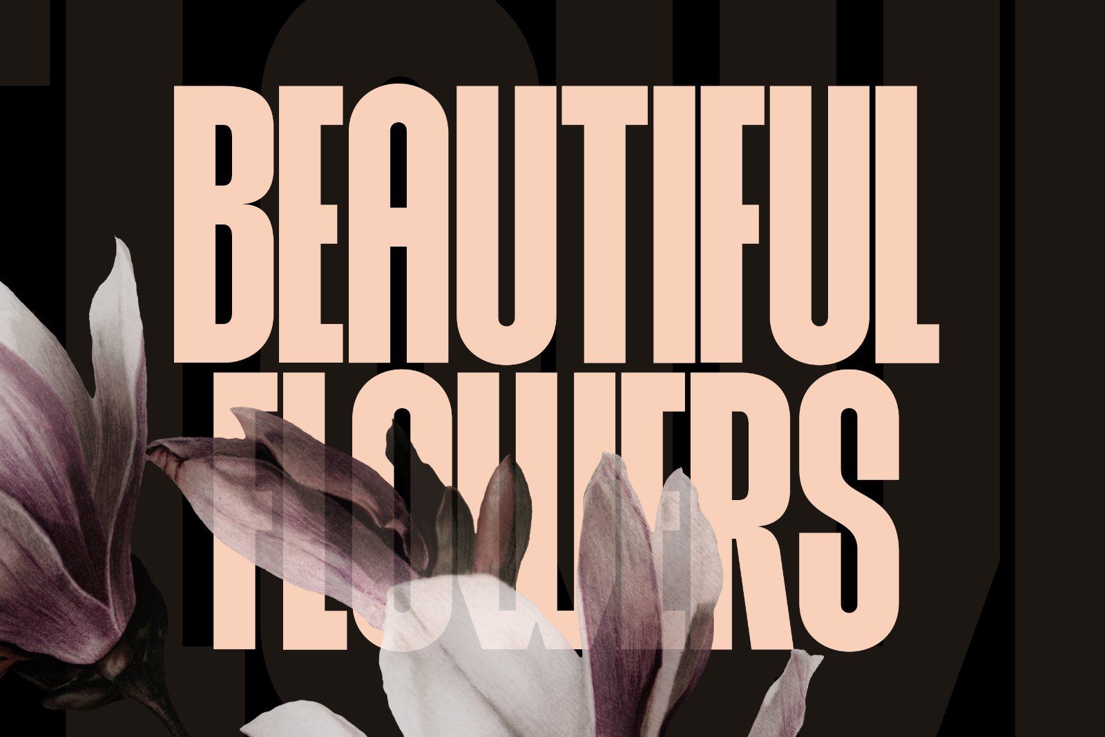 Rovex – Bold Condensed Display Font