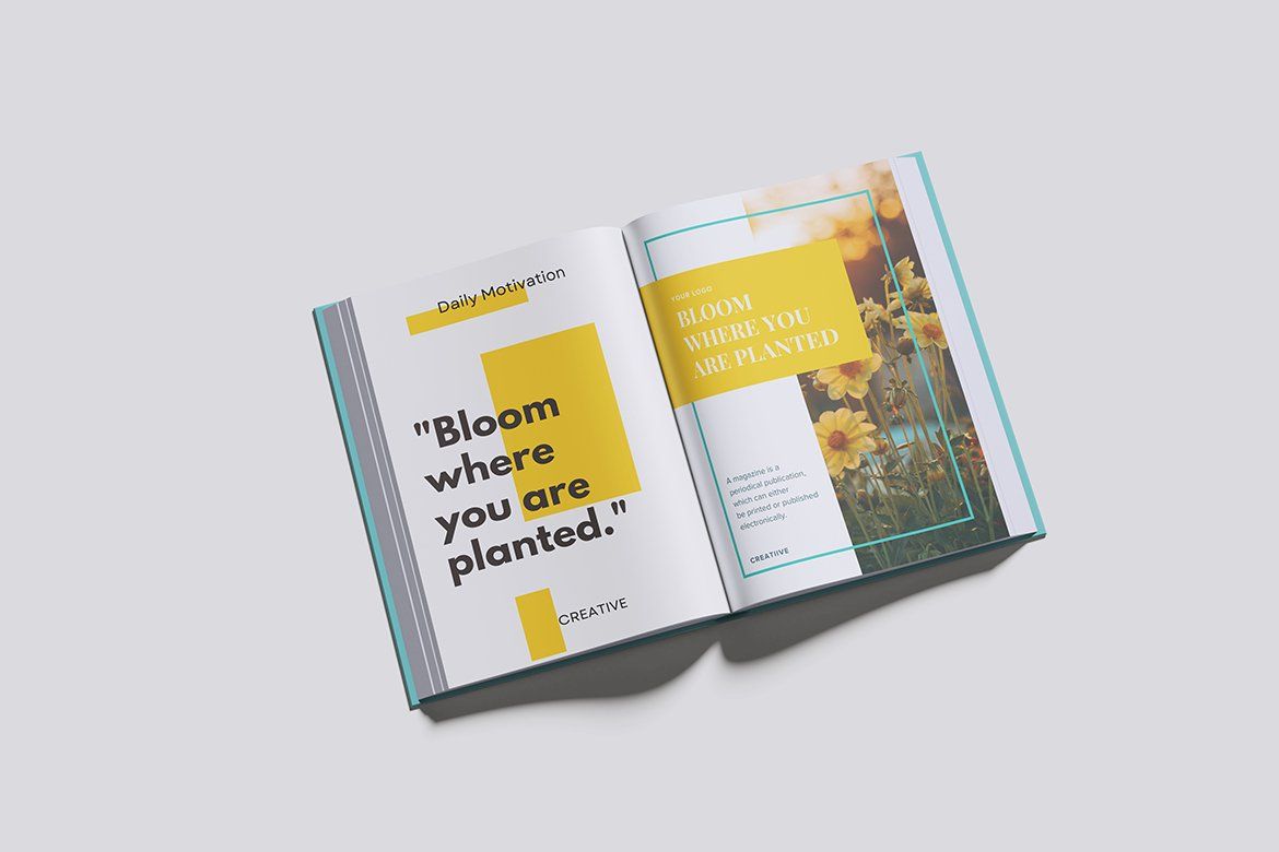 BOOK MAGAZINE (4 Objects)