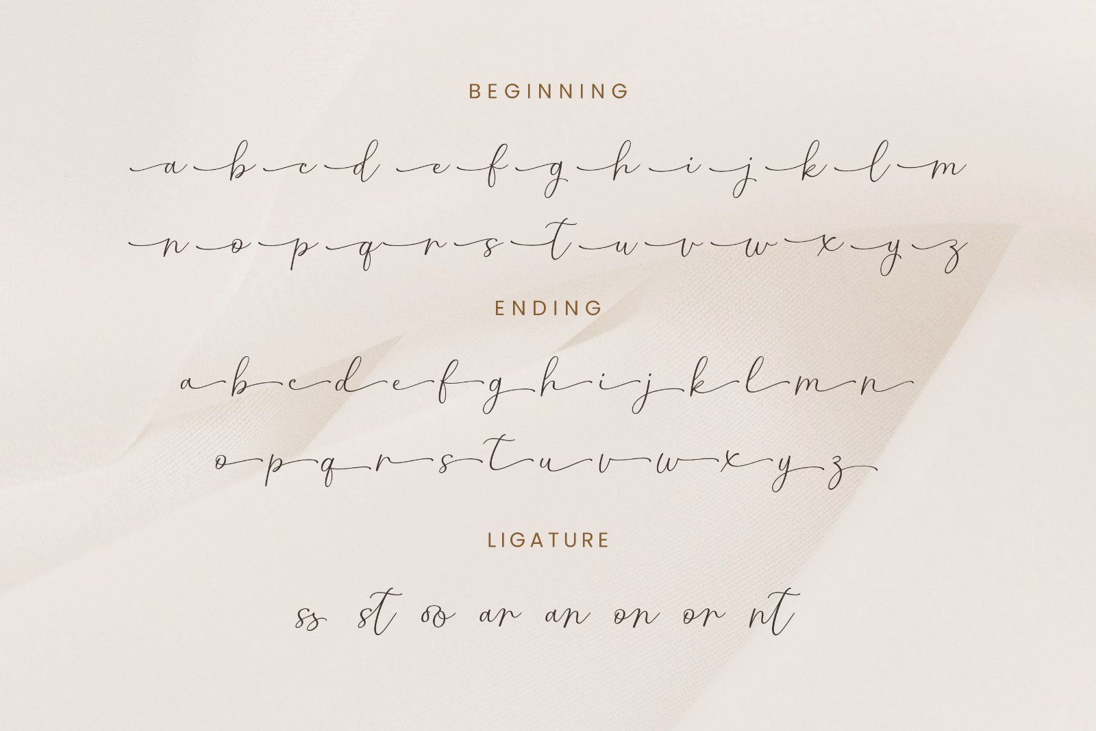 Carly - Handwritten Script Font — image 9