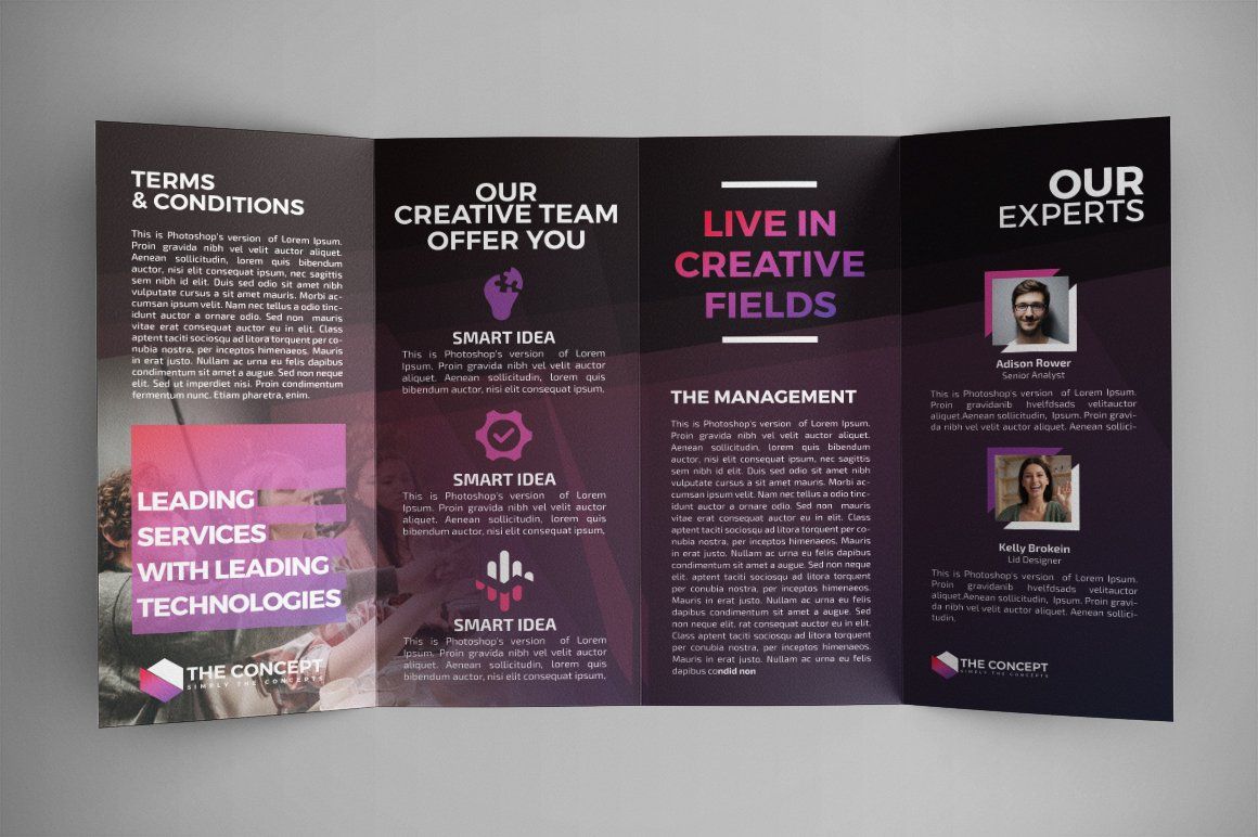 Double Gate fold Brochure — image 3