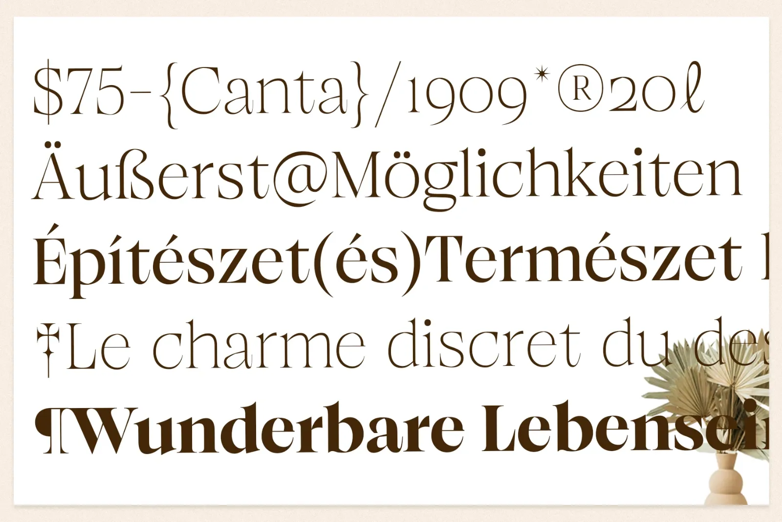 Browne de Calvin | Luxury Serif Typeface — image 20