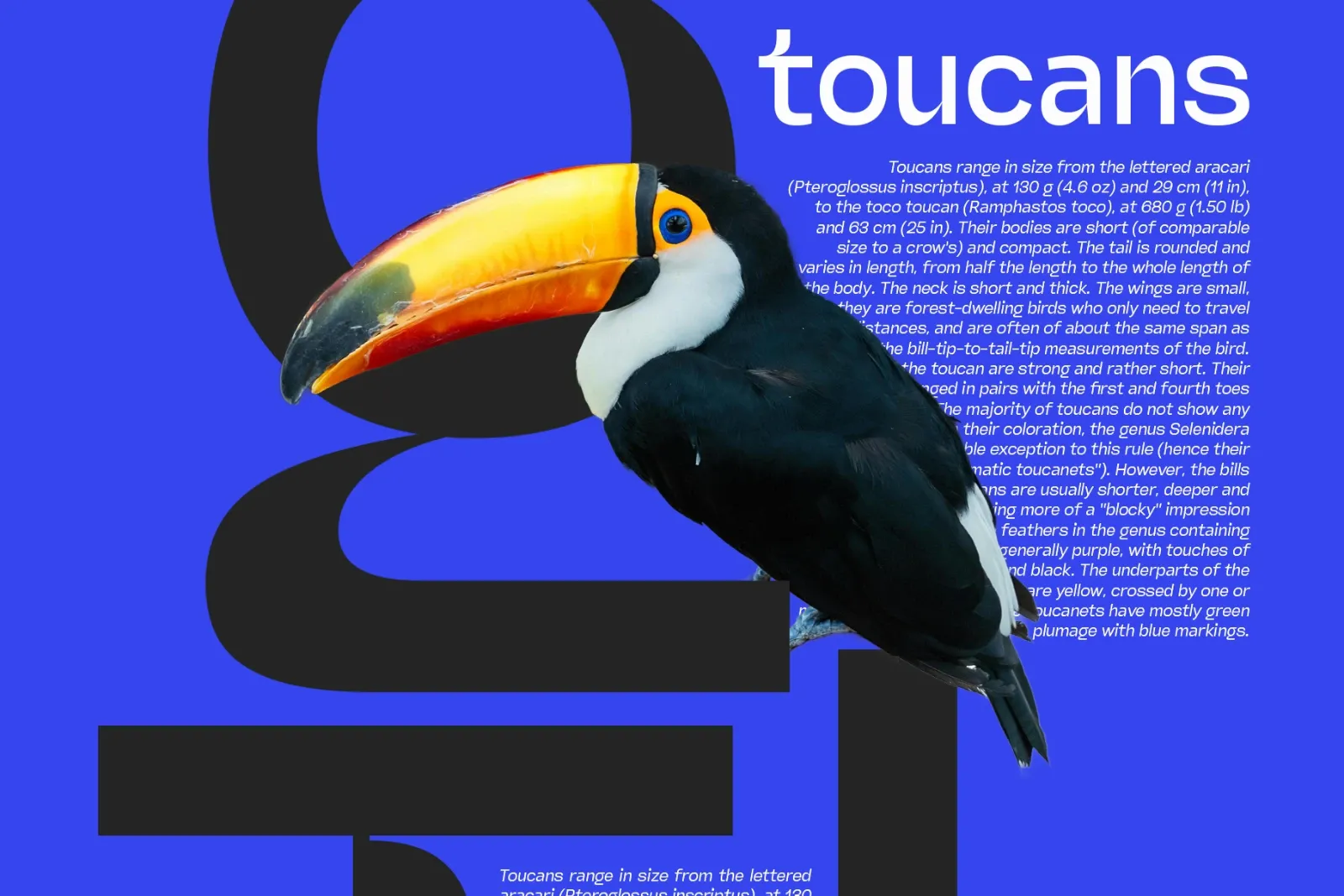Miguer Sans | Contrast Sans — image 21