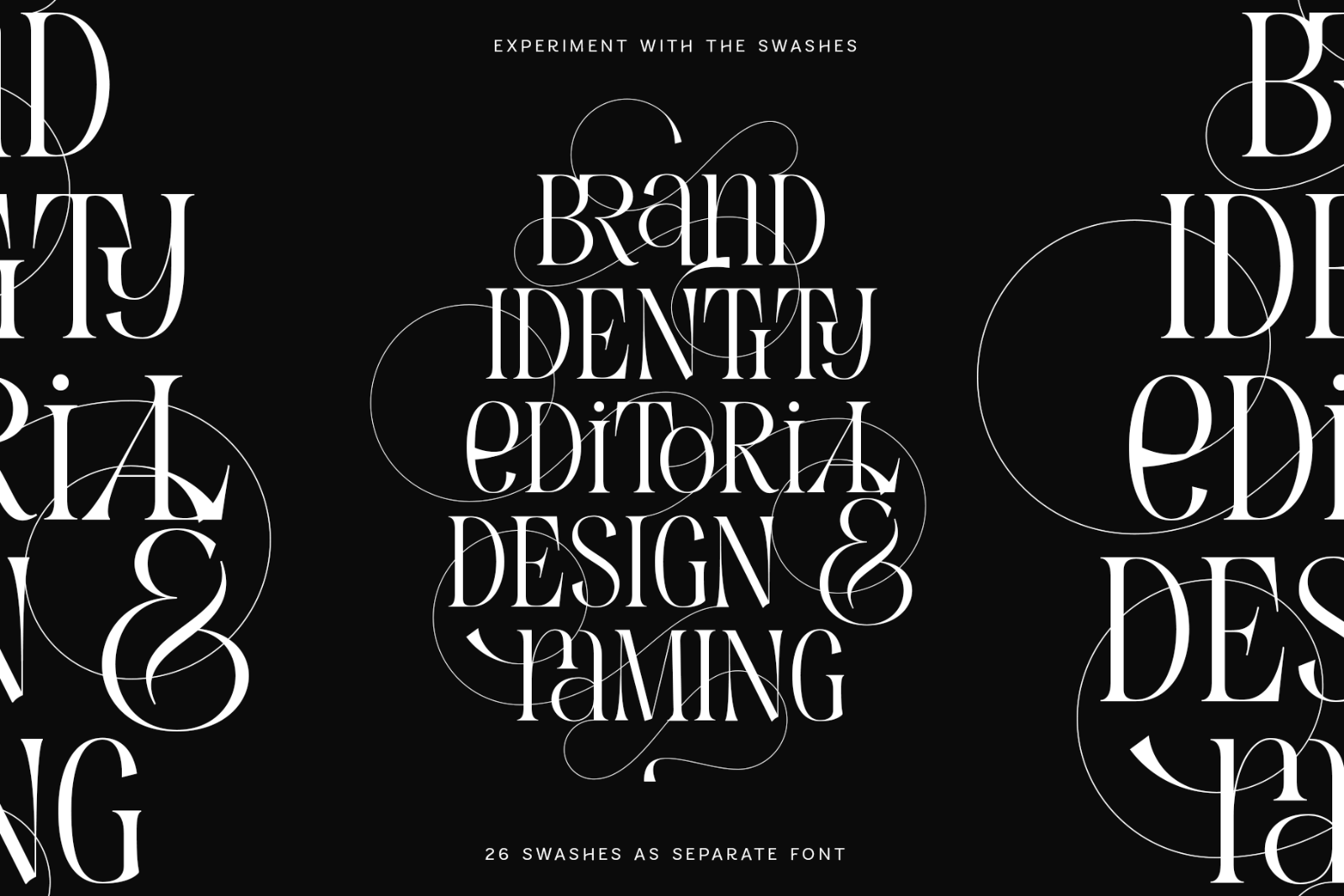 Evertype - Display Serif Font Family — image 22