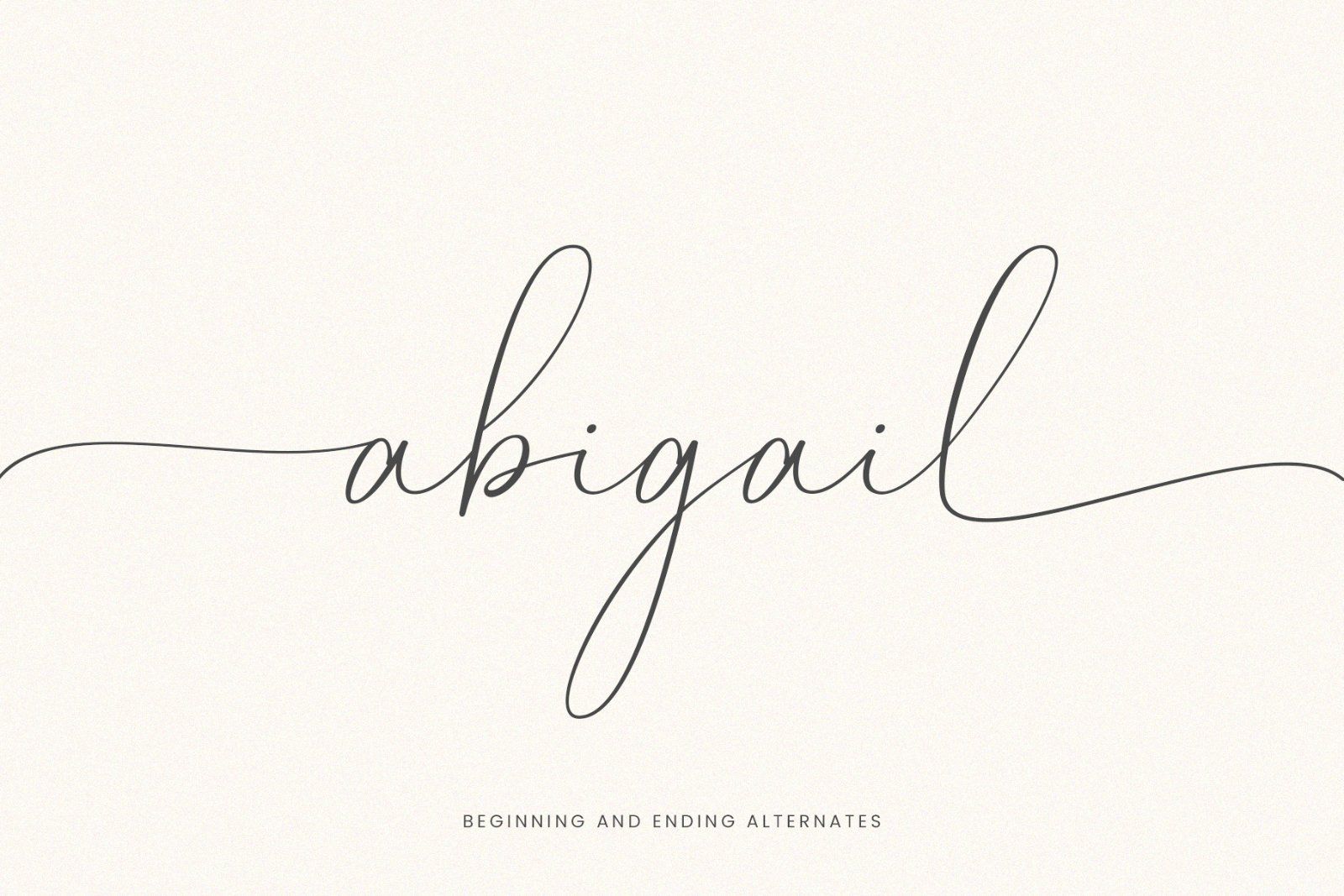 Modern Serif Font Bundle