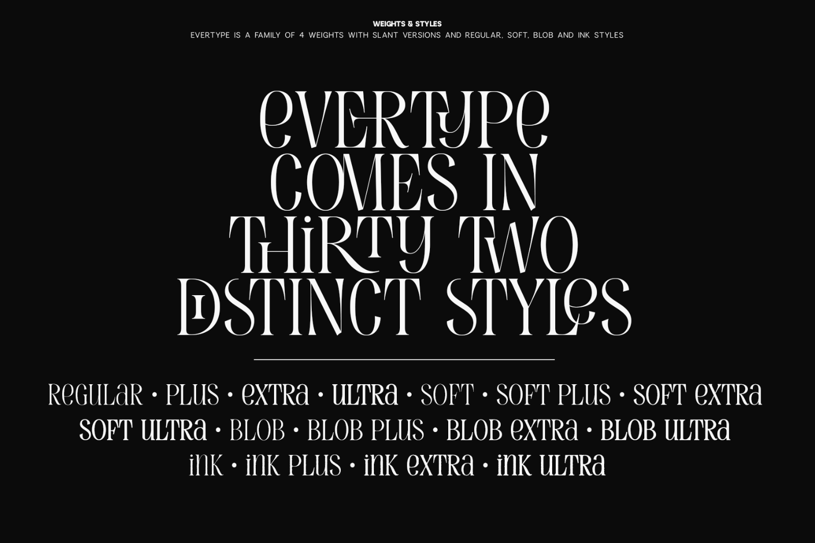 Evertype - Display Serif Font Family — image 25