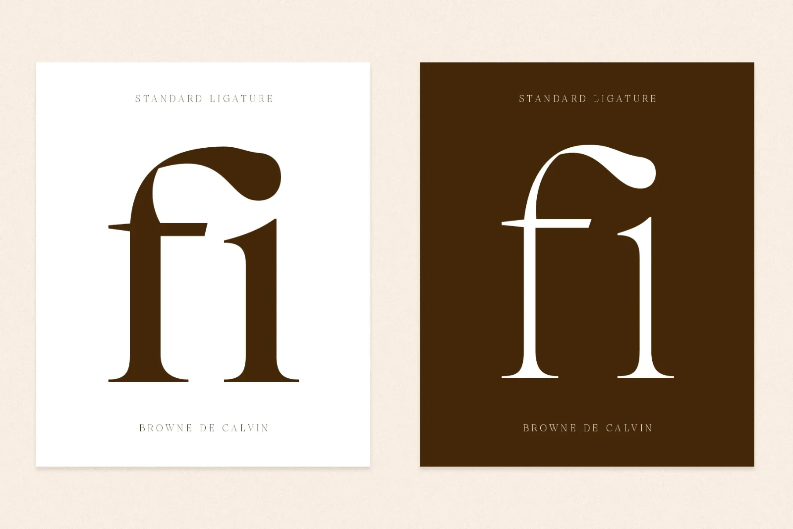 Browne de Calvin | Luxury Serif Typeface — image 25