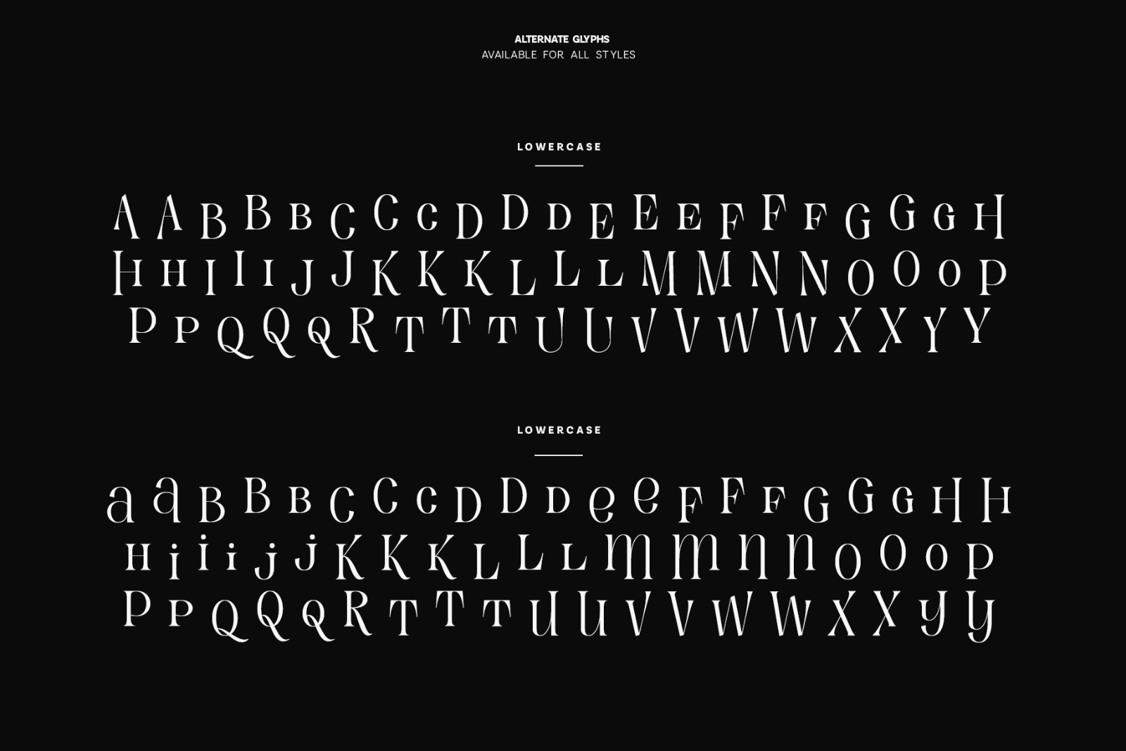 Evertype - Display Serif Font Family — image 27