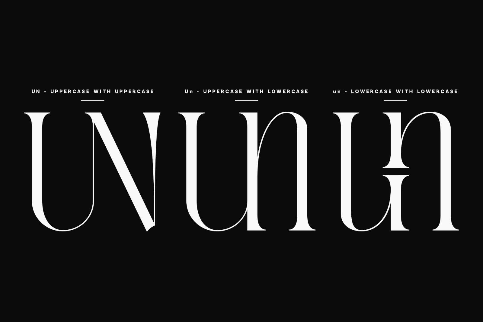 Evertype - Display Serif Font Family — image 29