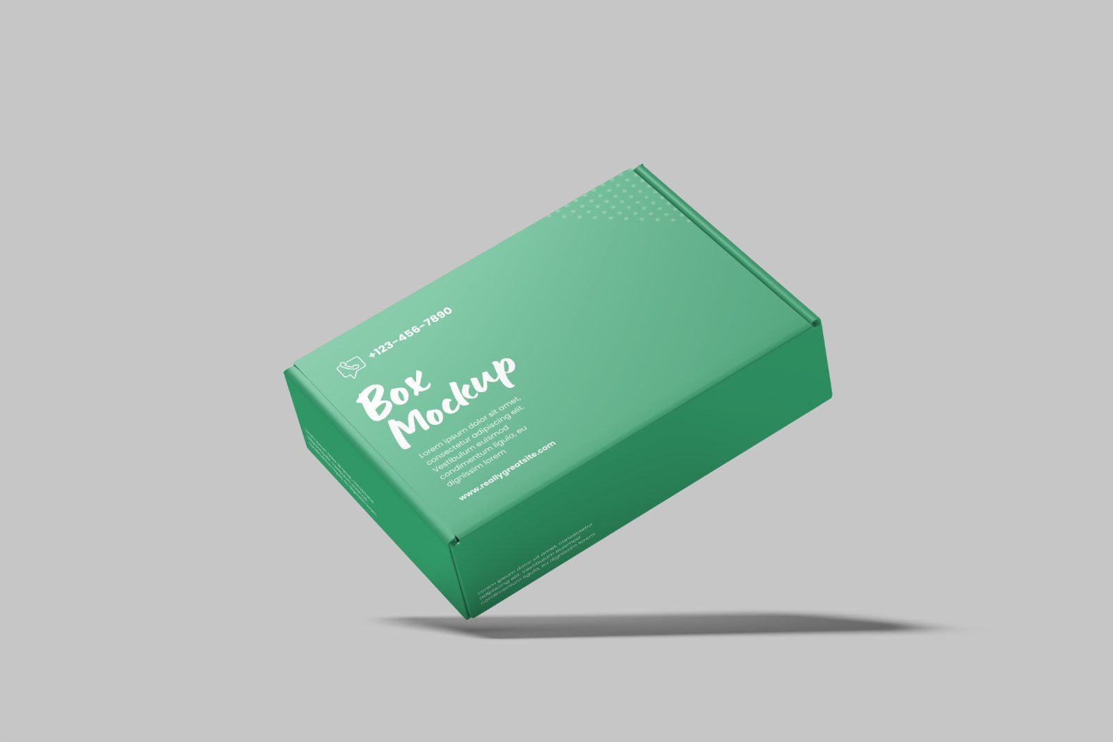 Mailer Box Mockup