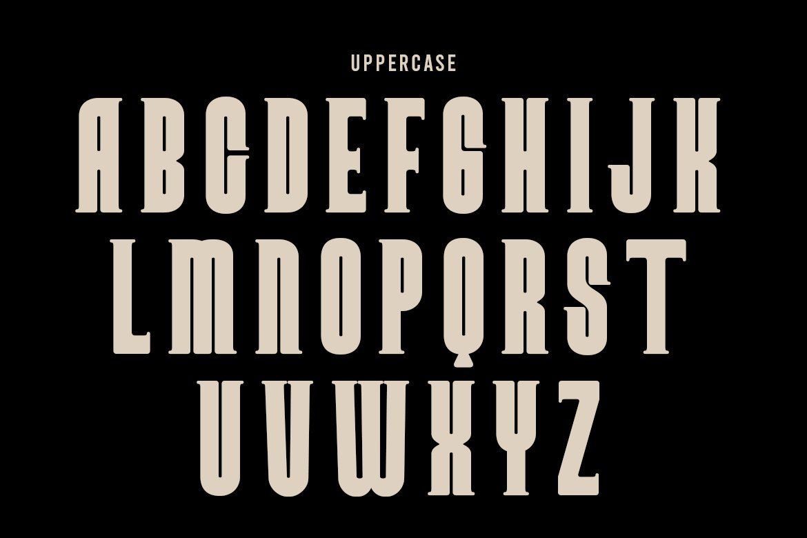 Vornek | Condensed Slab Serif Display Font — image 3