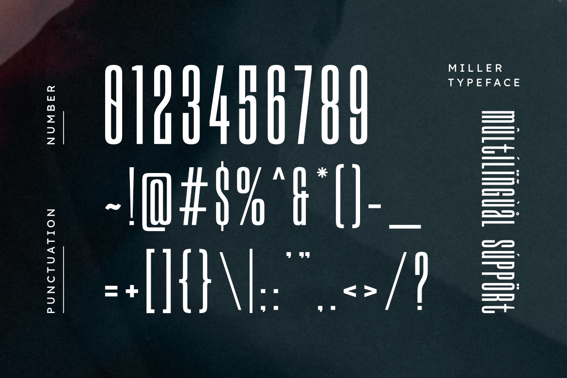 Miller – Modern Condensed Sans Serif Font — image 3