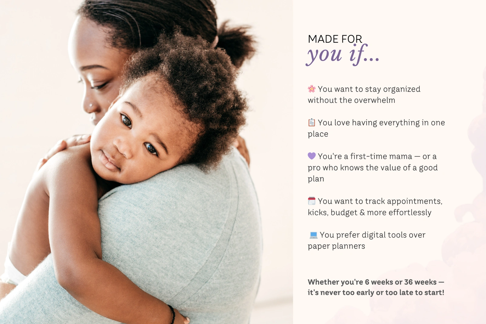Pregnancy Planner Excel Spreadsheet — image 3