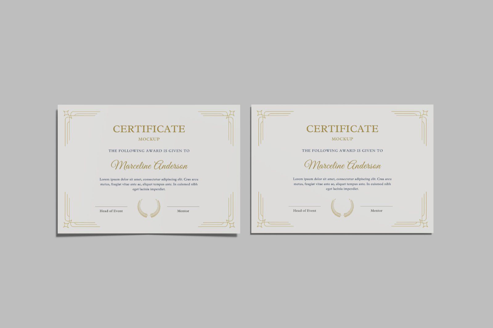 Certificate Mockup — image 3