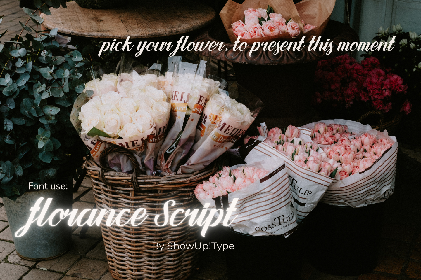 Florance Script — image 3