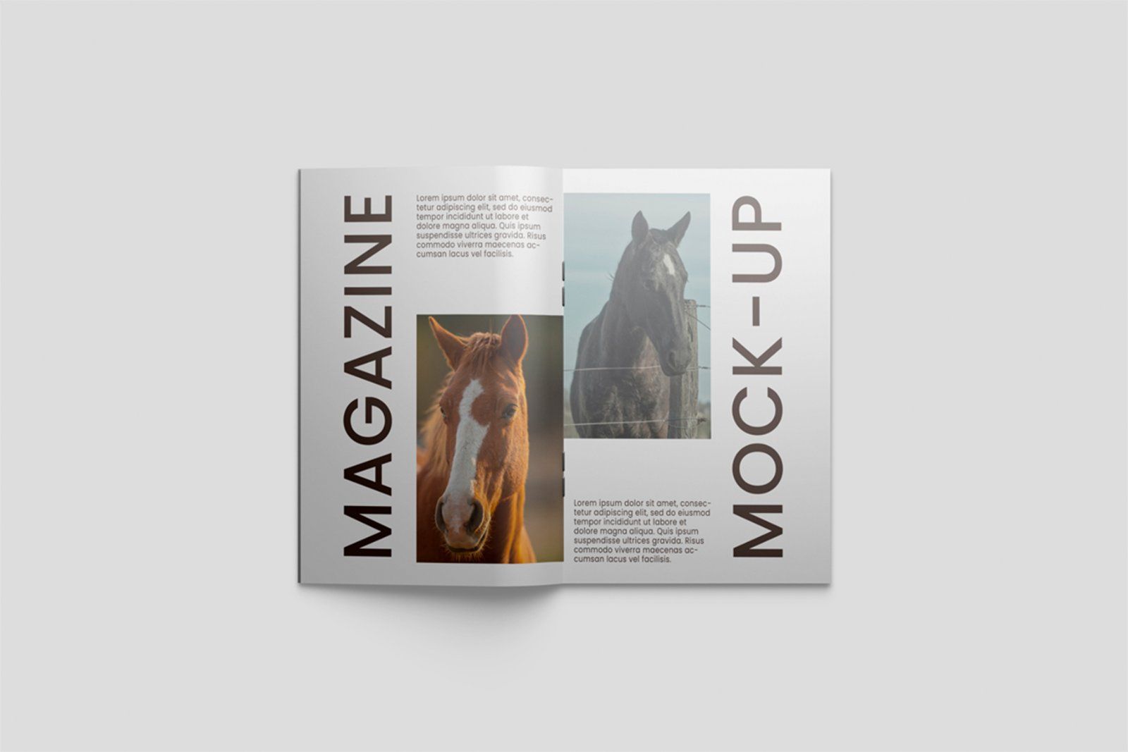 Magazine Mockup — image 4