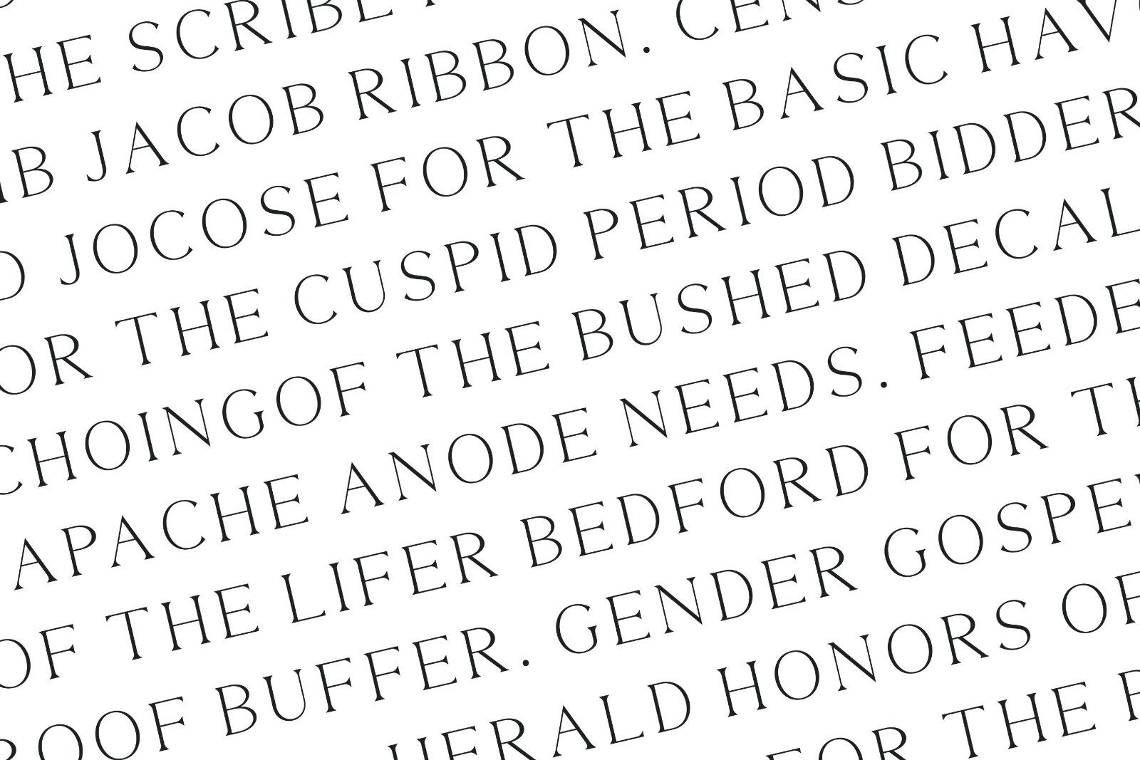 Thorin - Modern Serif Font — image 8