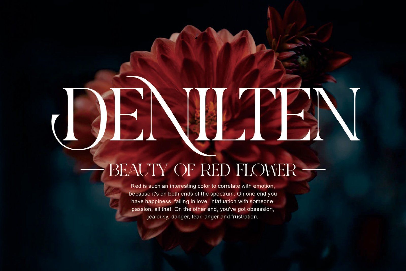 KUINCA Modern Ligature Serif