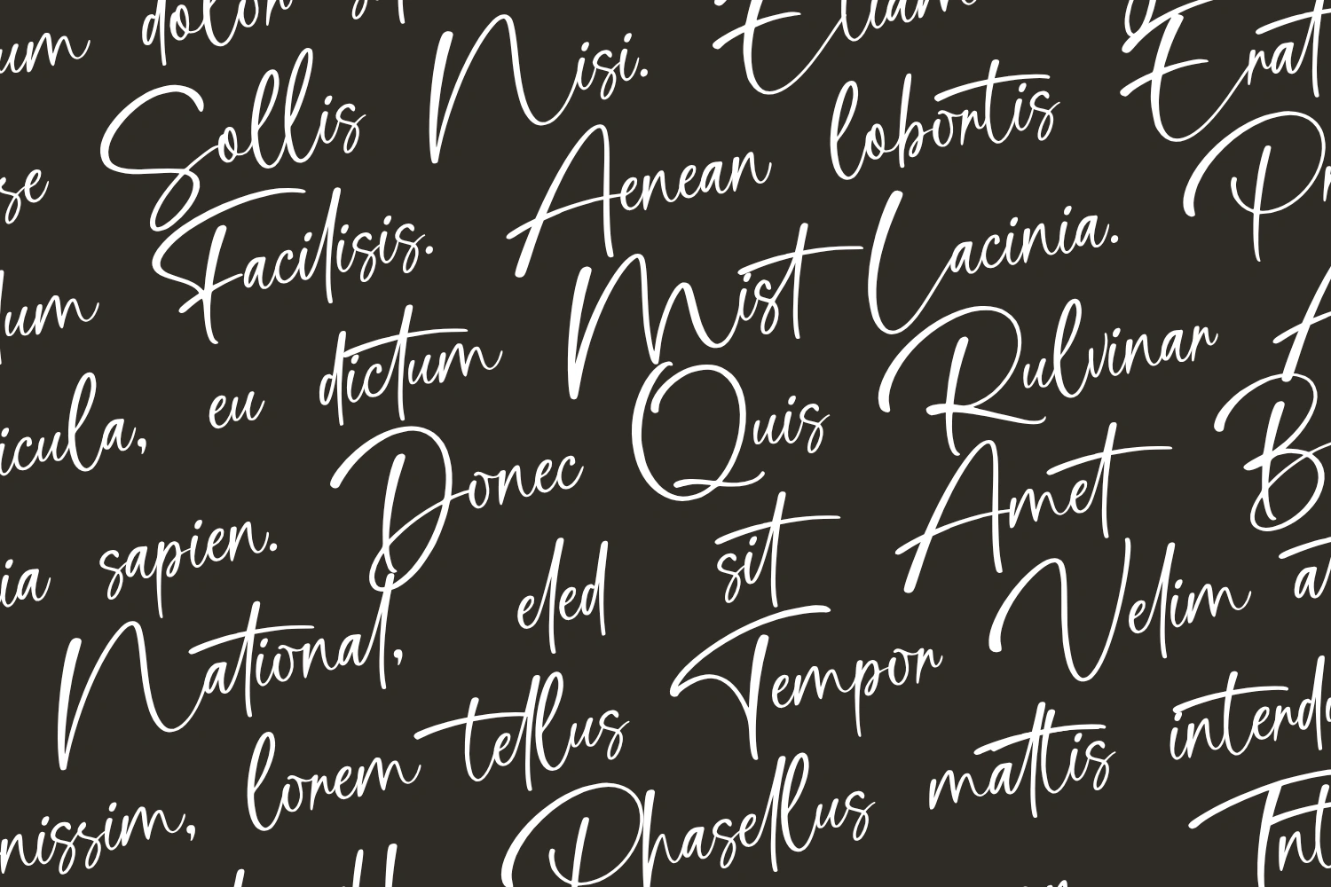 Cathlink Script Font — image 3