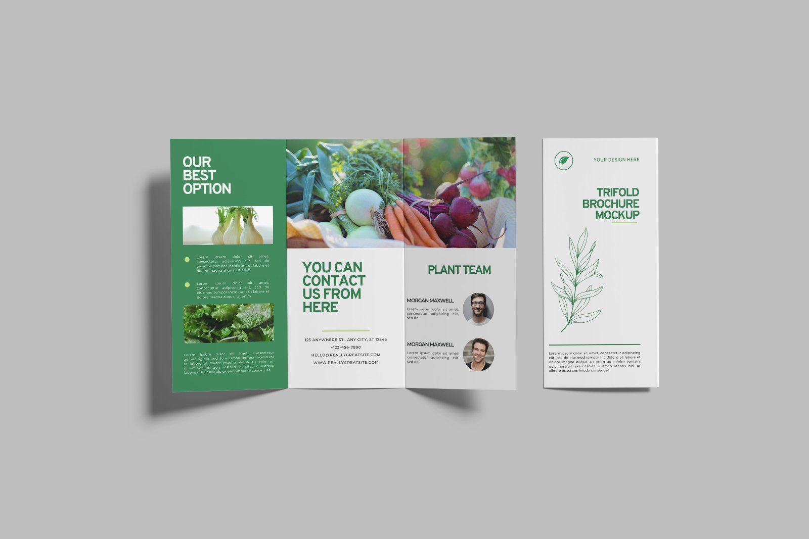 Trifold Brochure Mockup — image 3