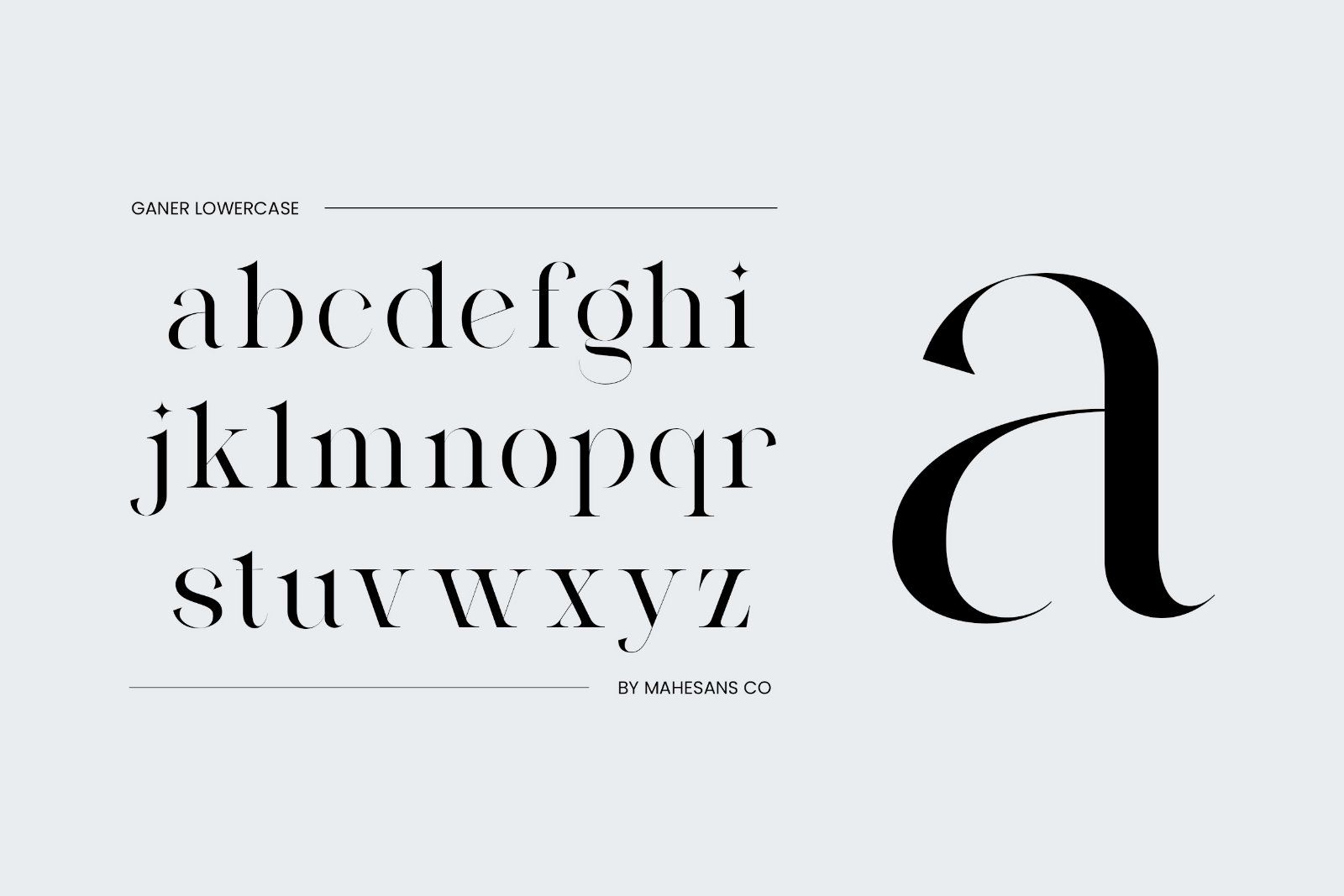 Ganer | Serif Display Font