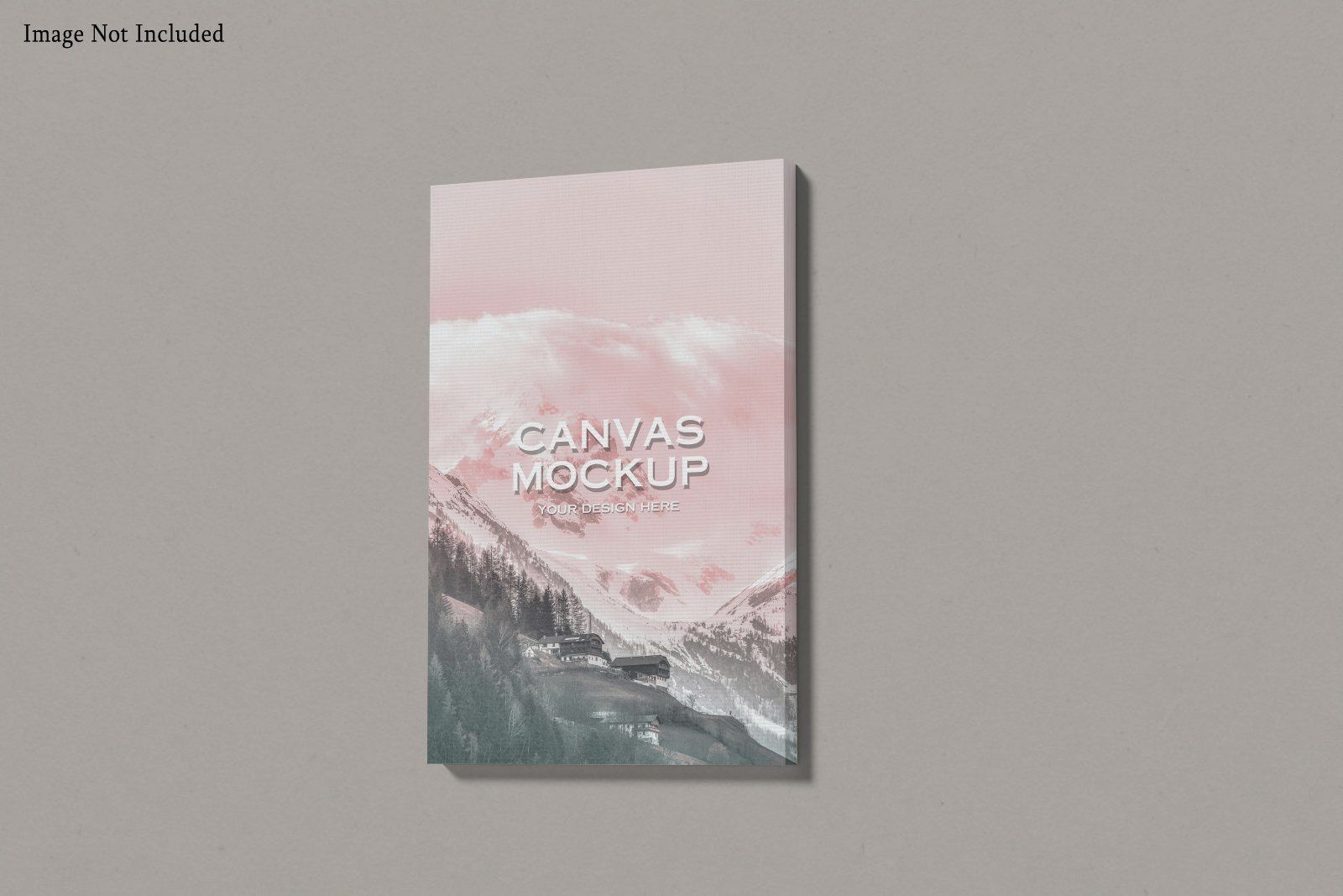 Canvas Mockup — image 3