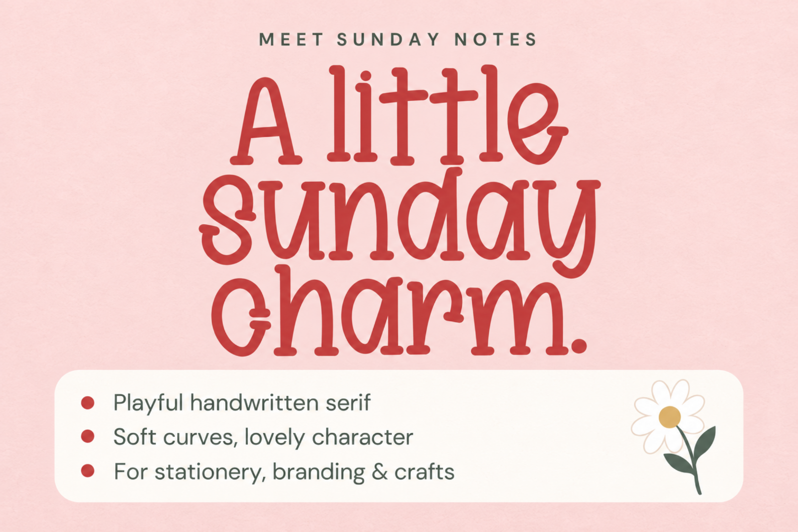 Sunday Notes — Handwritten Serif Font — image 3