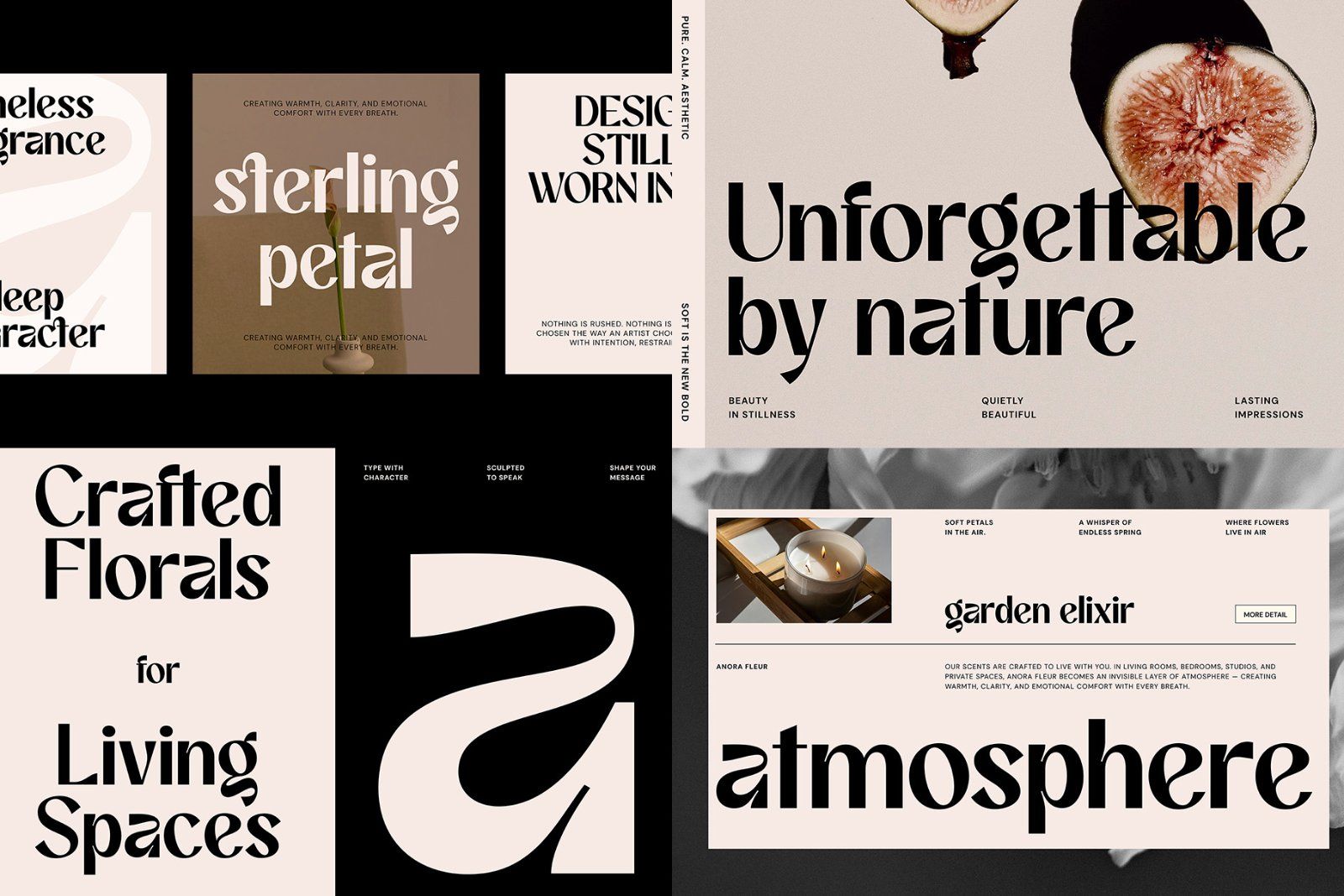 Font Bundle Collection