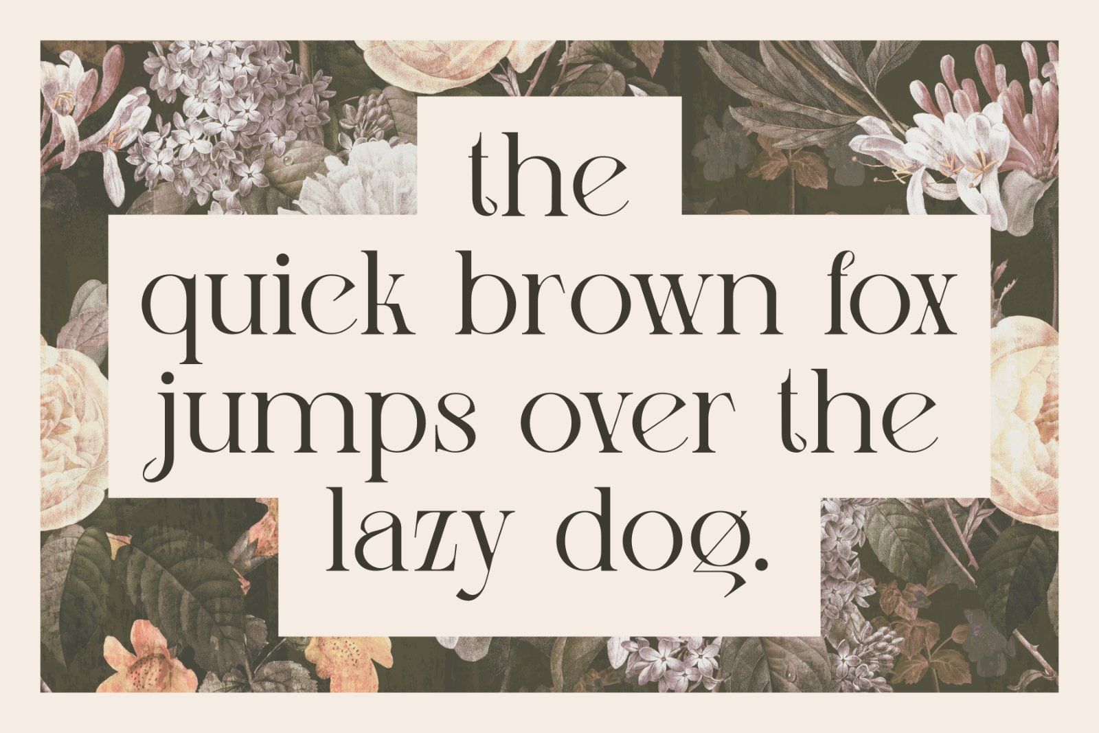 Lissa Font