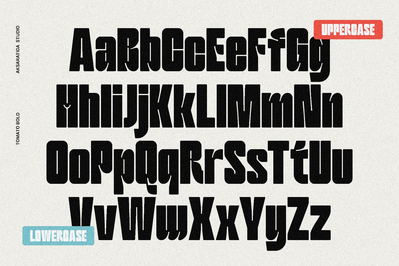Tomato Bold — image 3