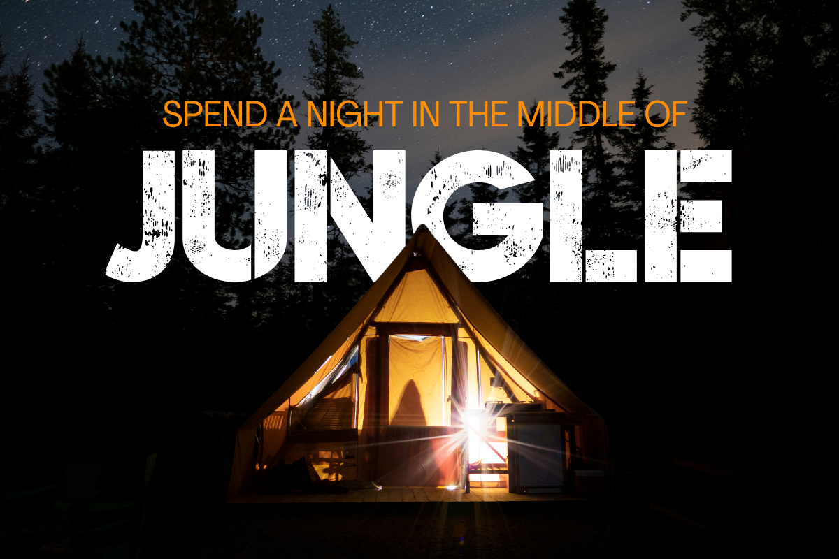 Wild Jungle