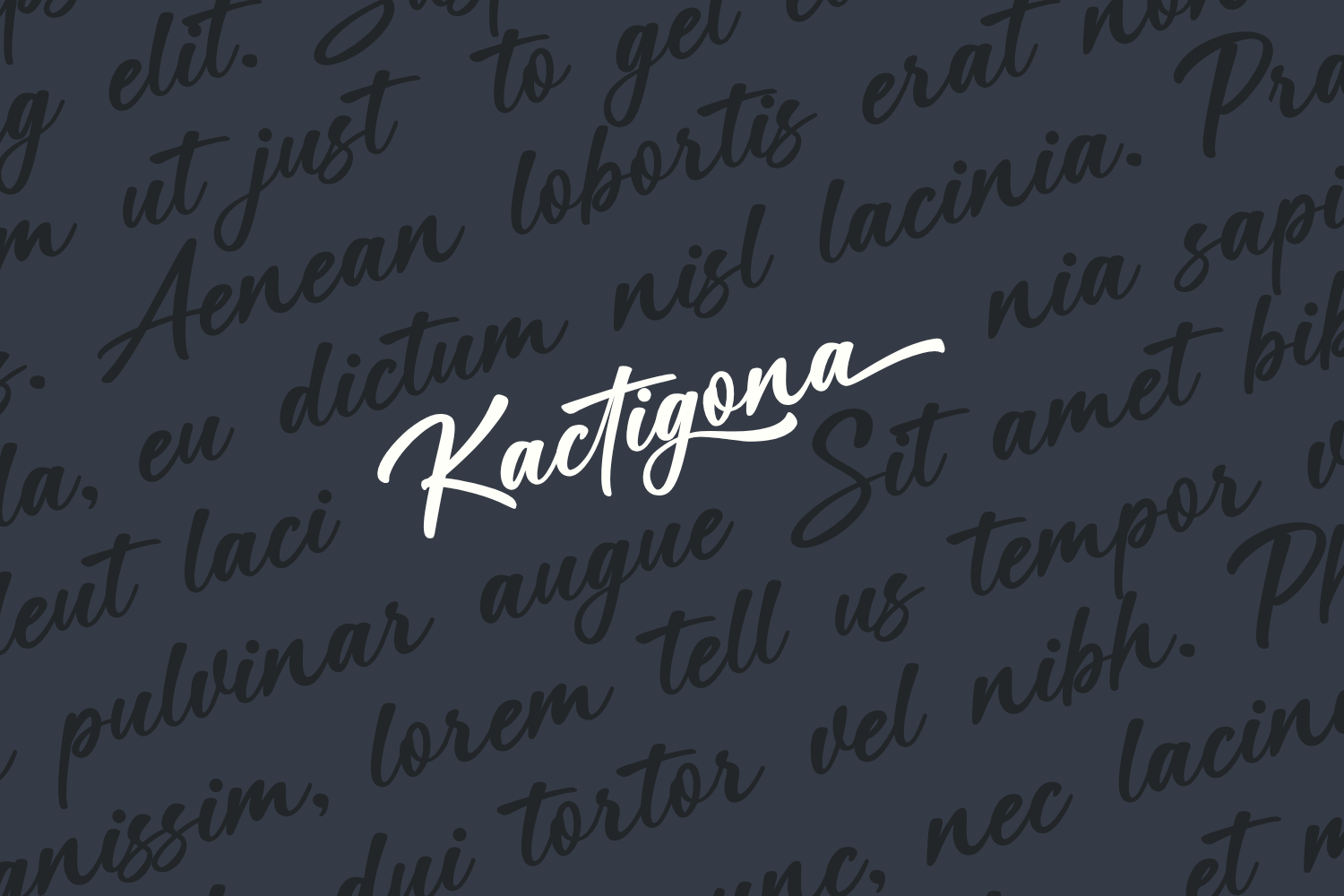 Kactigona — image 3
