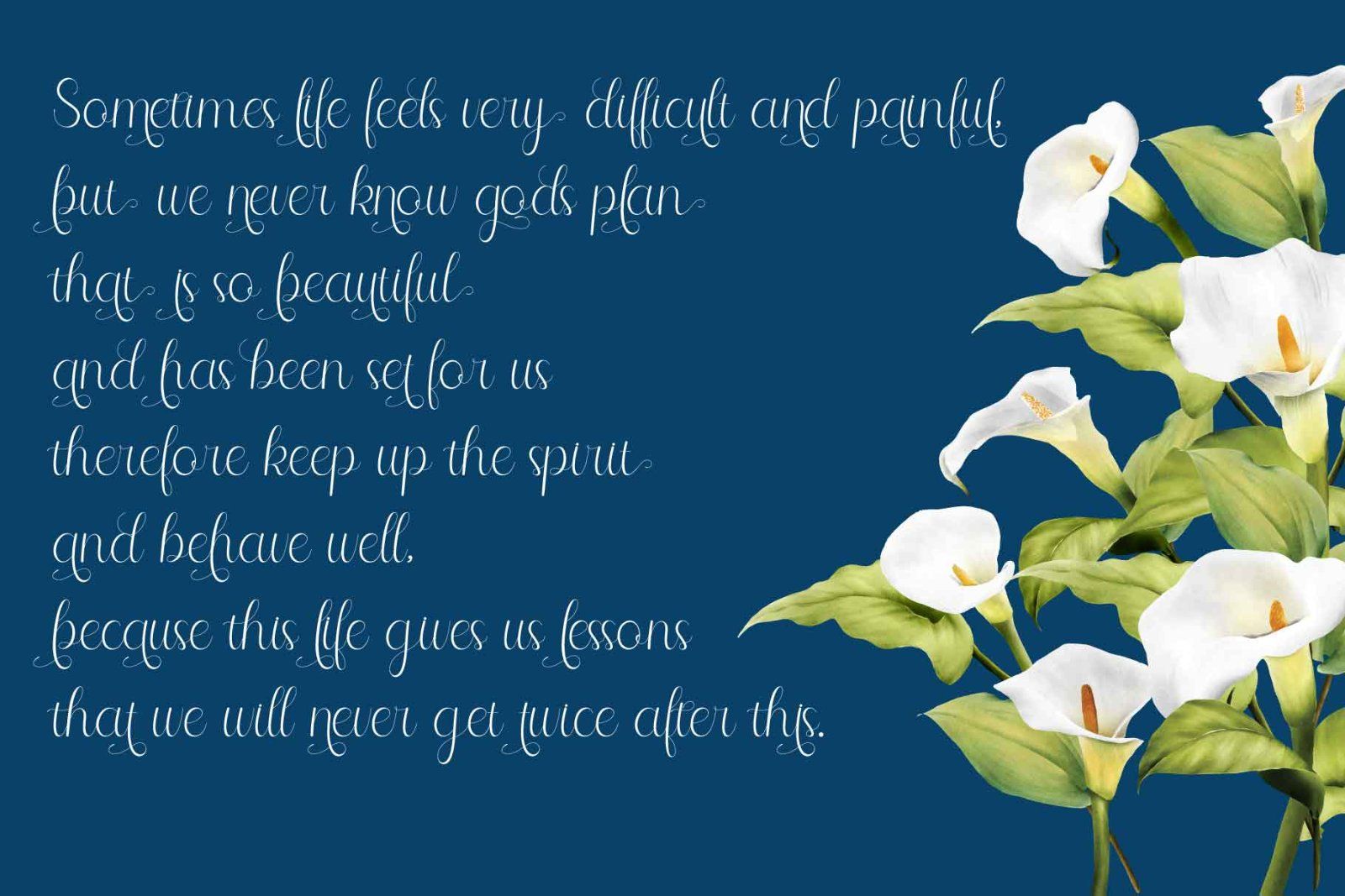 Selitta Script — image 3