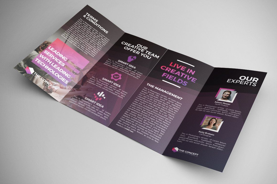 Double Gate fold Brochure — image 4