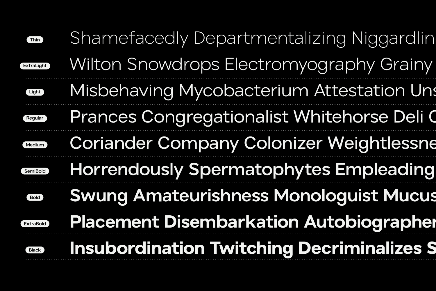 Aventina - Family Sans Serif Font — image 3