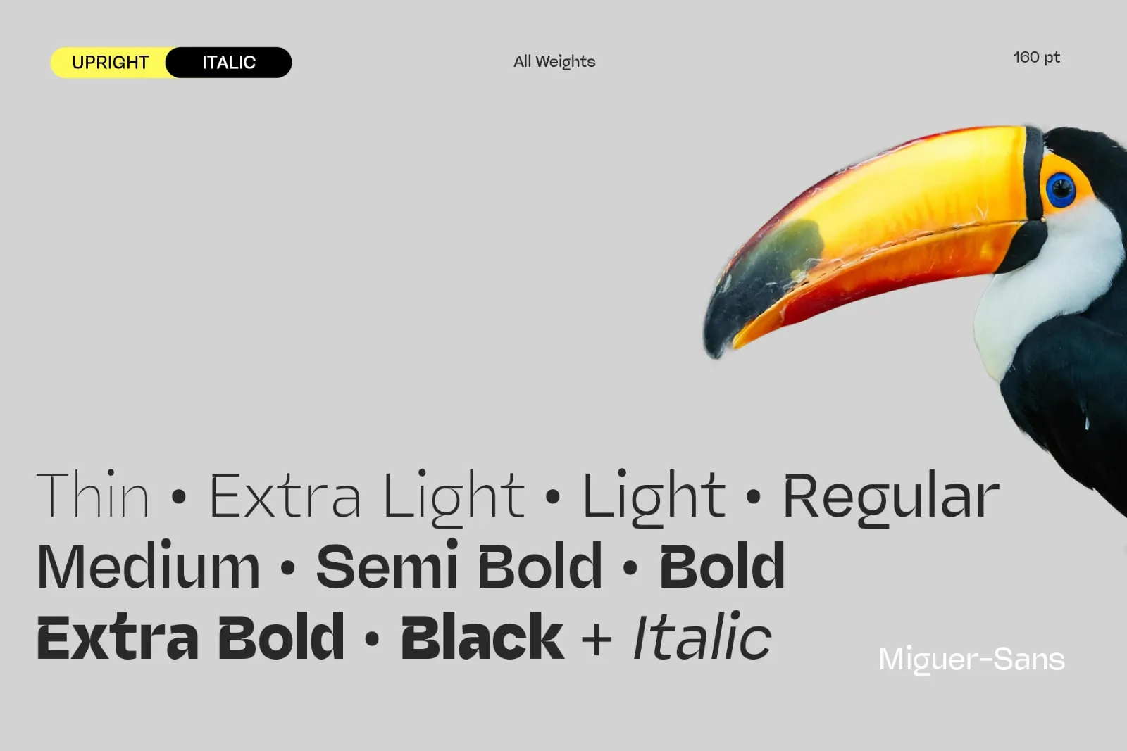 Miguer Sans | Contrast Sans — image 3