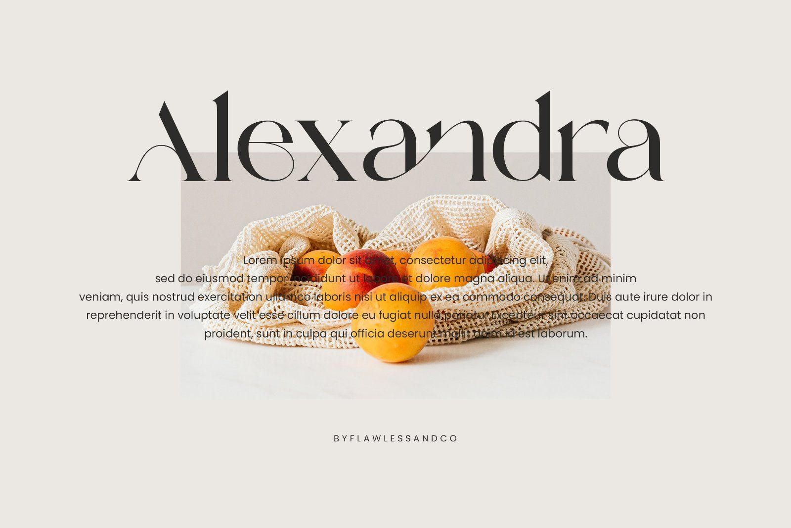 Volgarie - Modern Stylish Serif Font — image 3