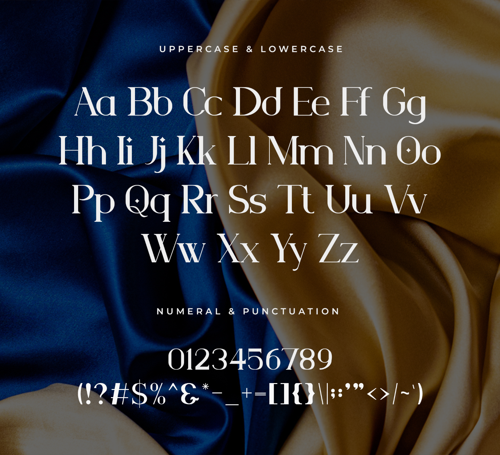 Vendelle – Modern Elegant Serif Font — image 4