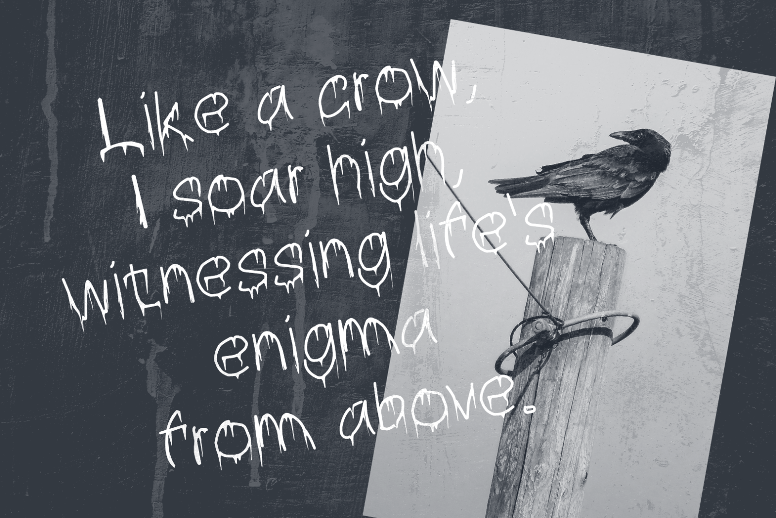 Brabe Drip Horror — image 4