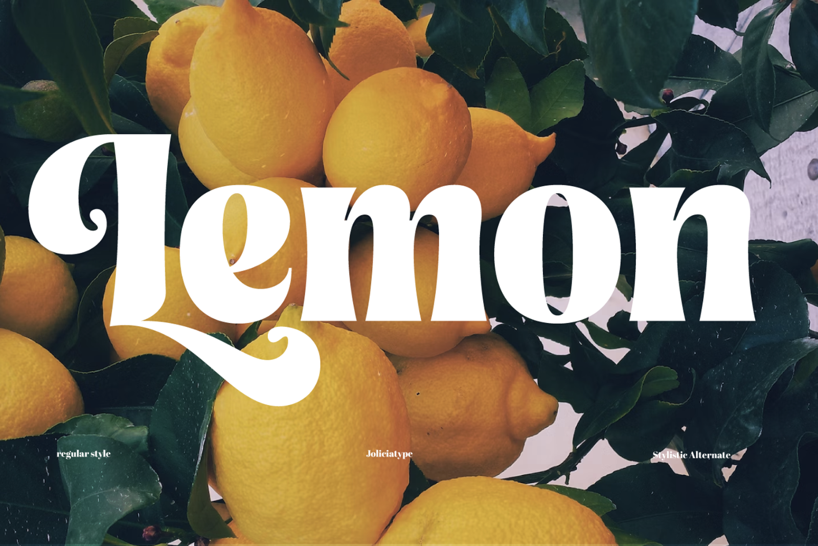Rolie Twily | Curly Font — image 5