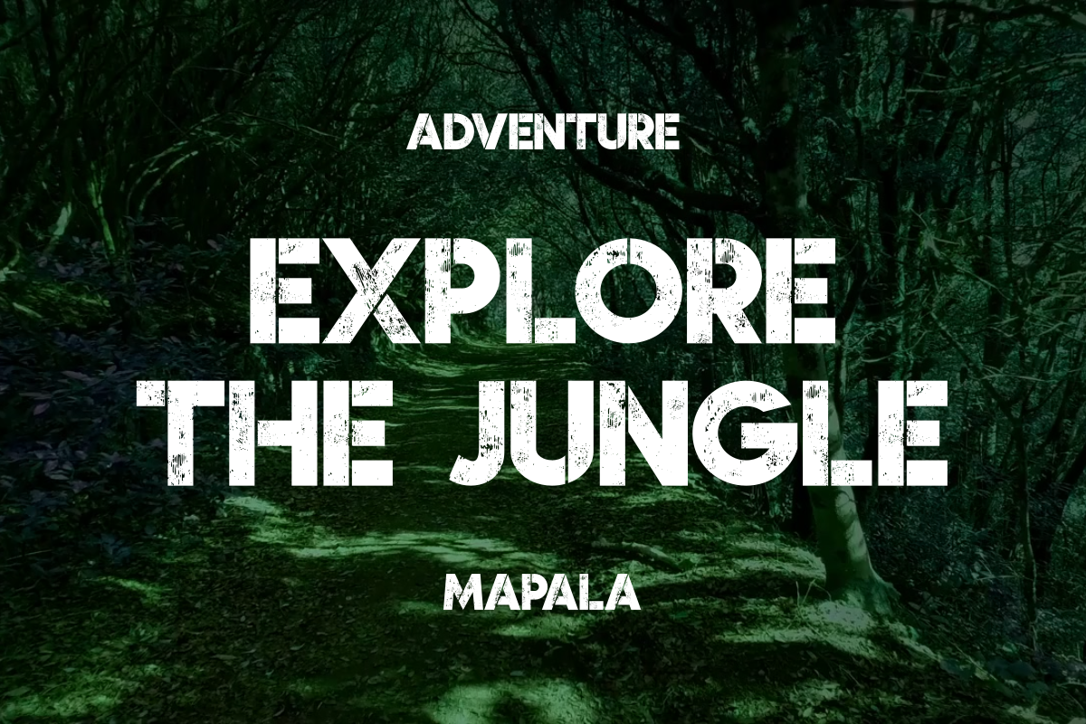 Wild Jungle