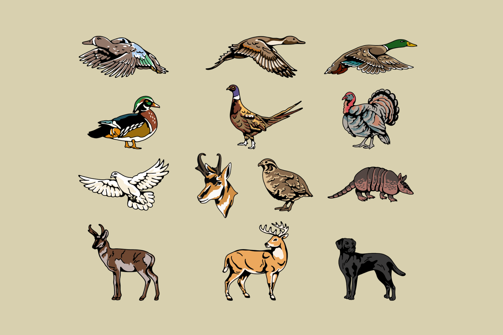 Hunting Animal Illustration — image 4