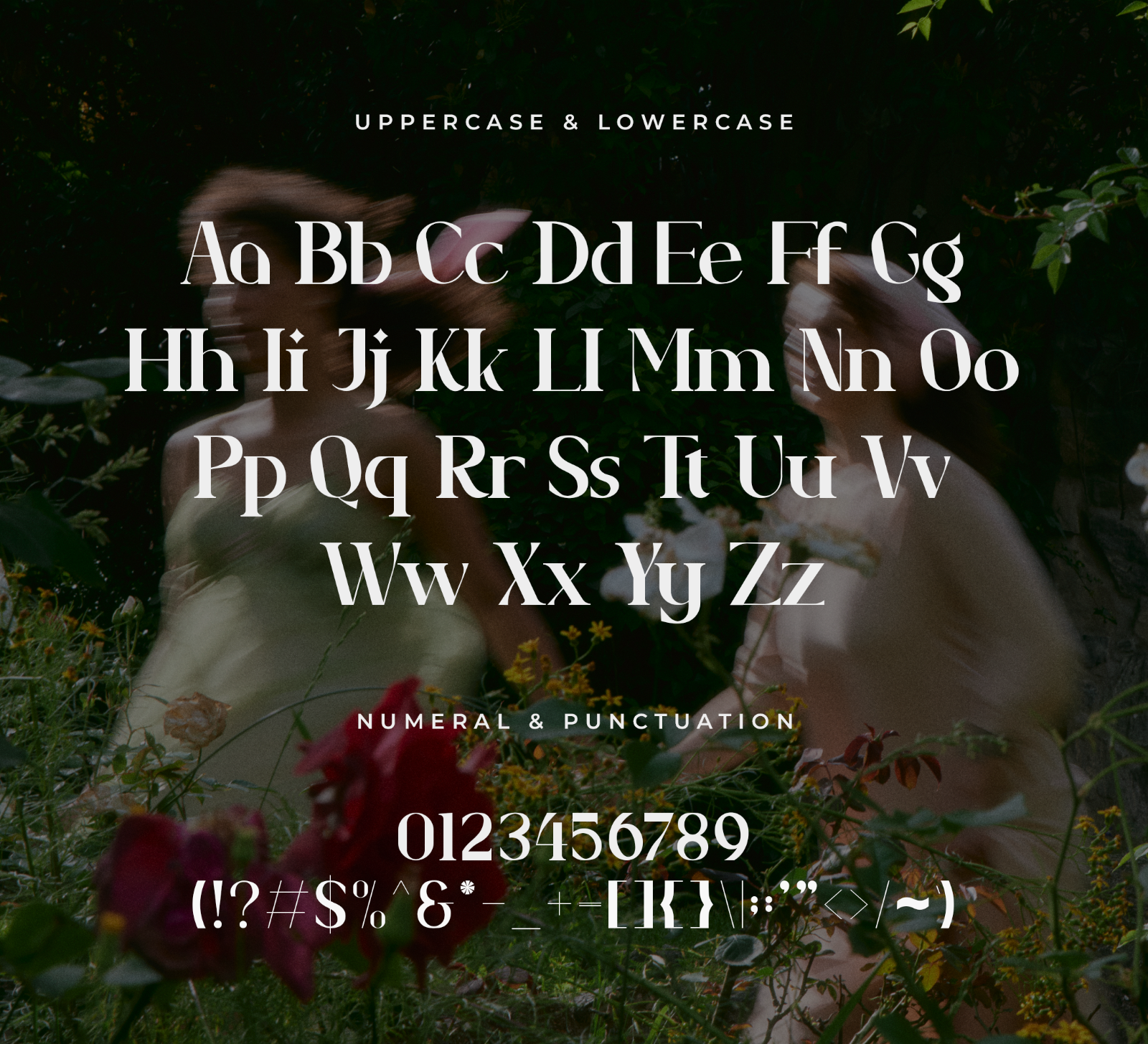 Nossavio – Modern Elegant Serif Font — image 4