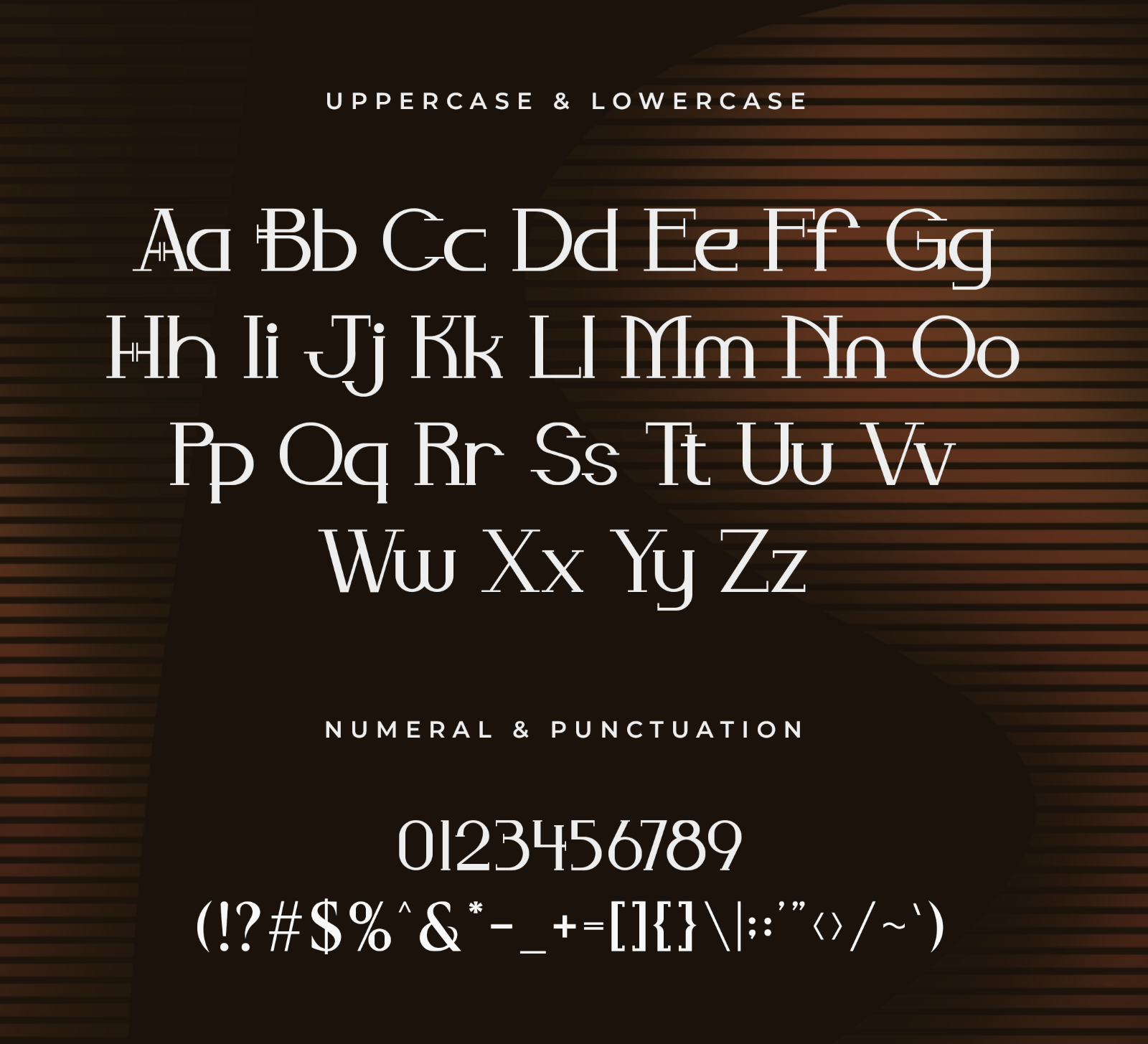 Serelie – Modern Elegant Serif Font — image 4