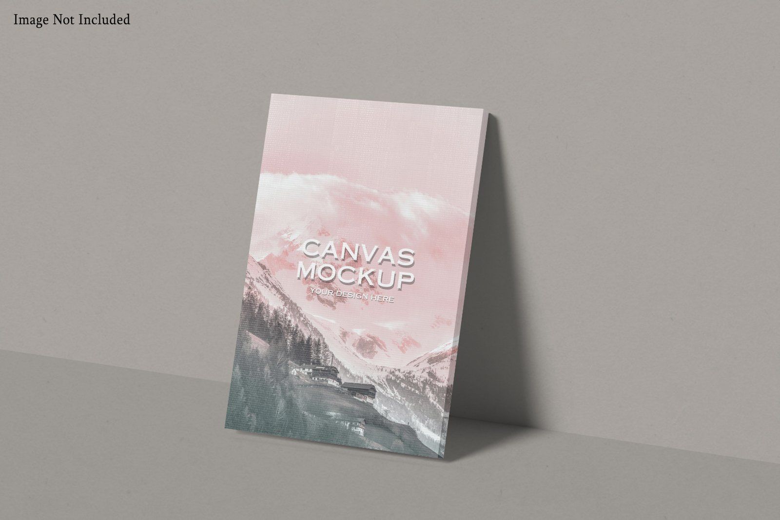 Canvas Mockup — image 4