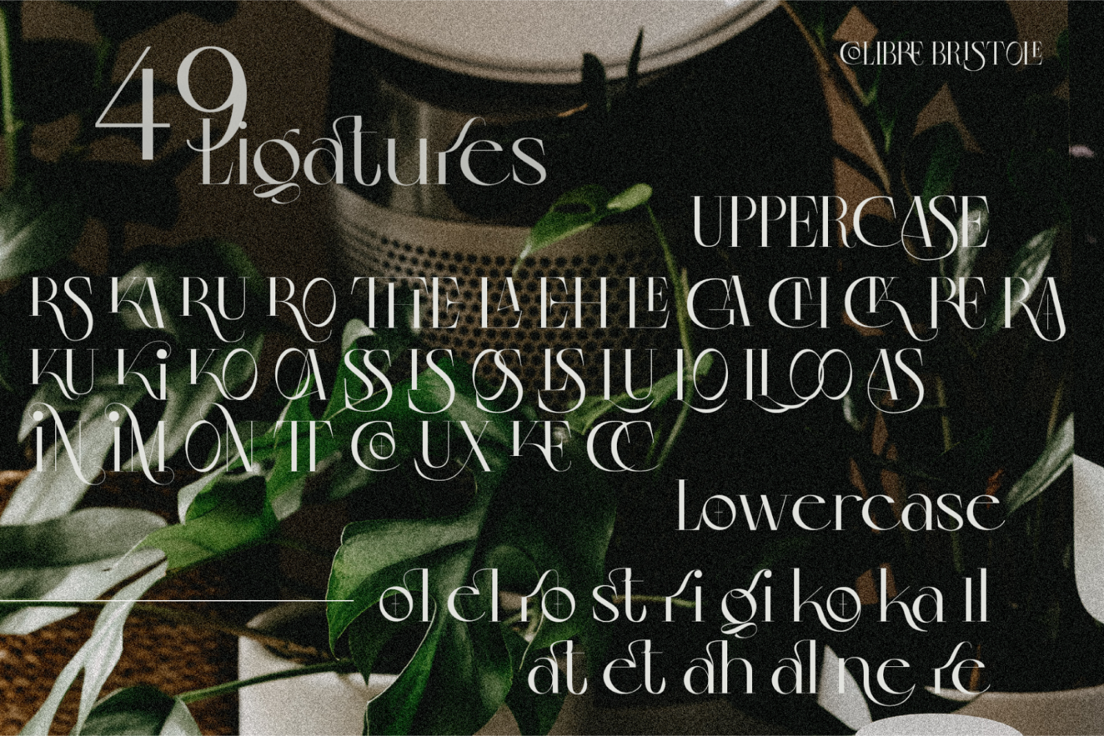 Colibre Bristole Pro | Serif Font