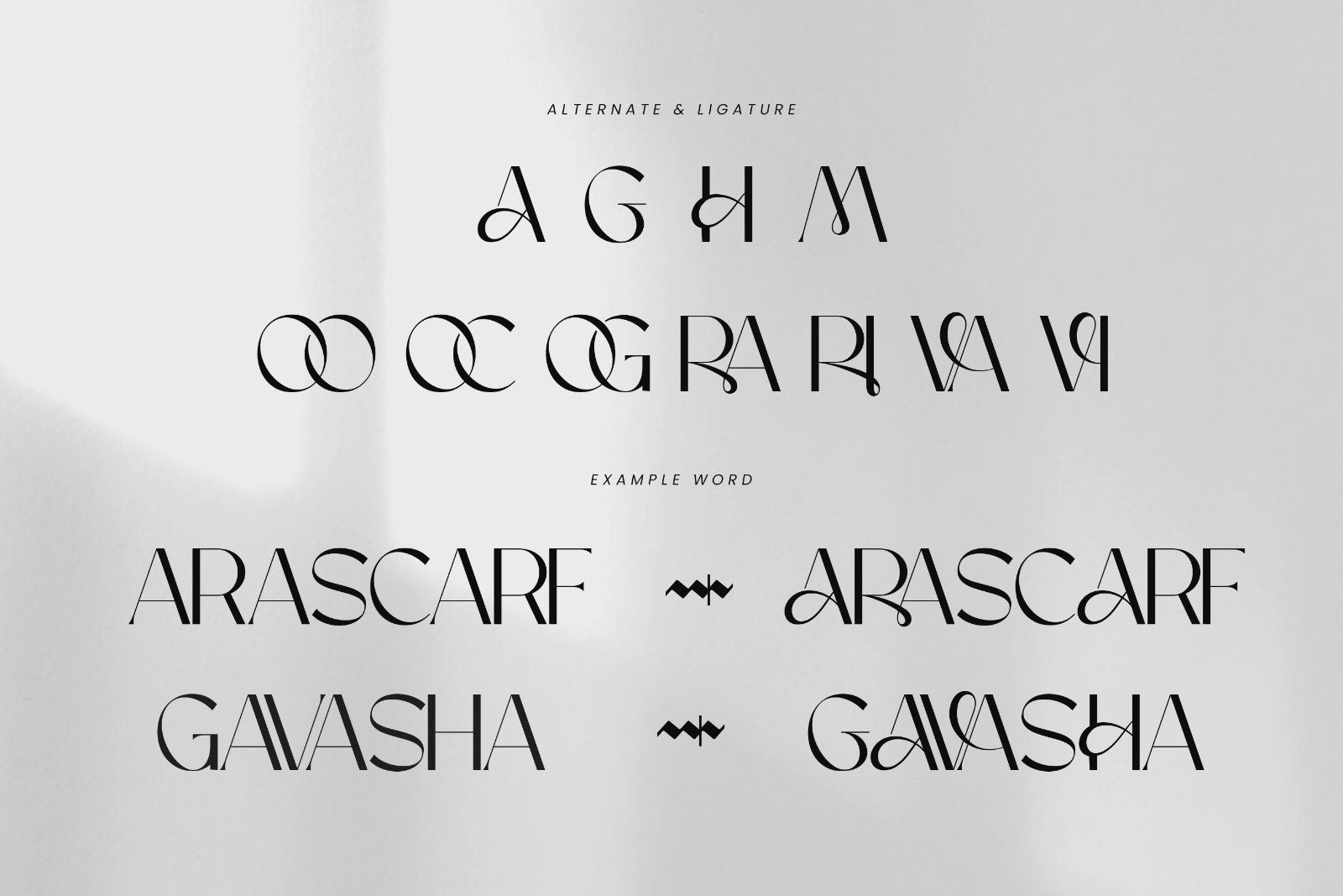 Maison Bright | Elegant Sans Serif Font