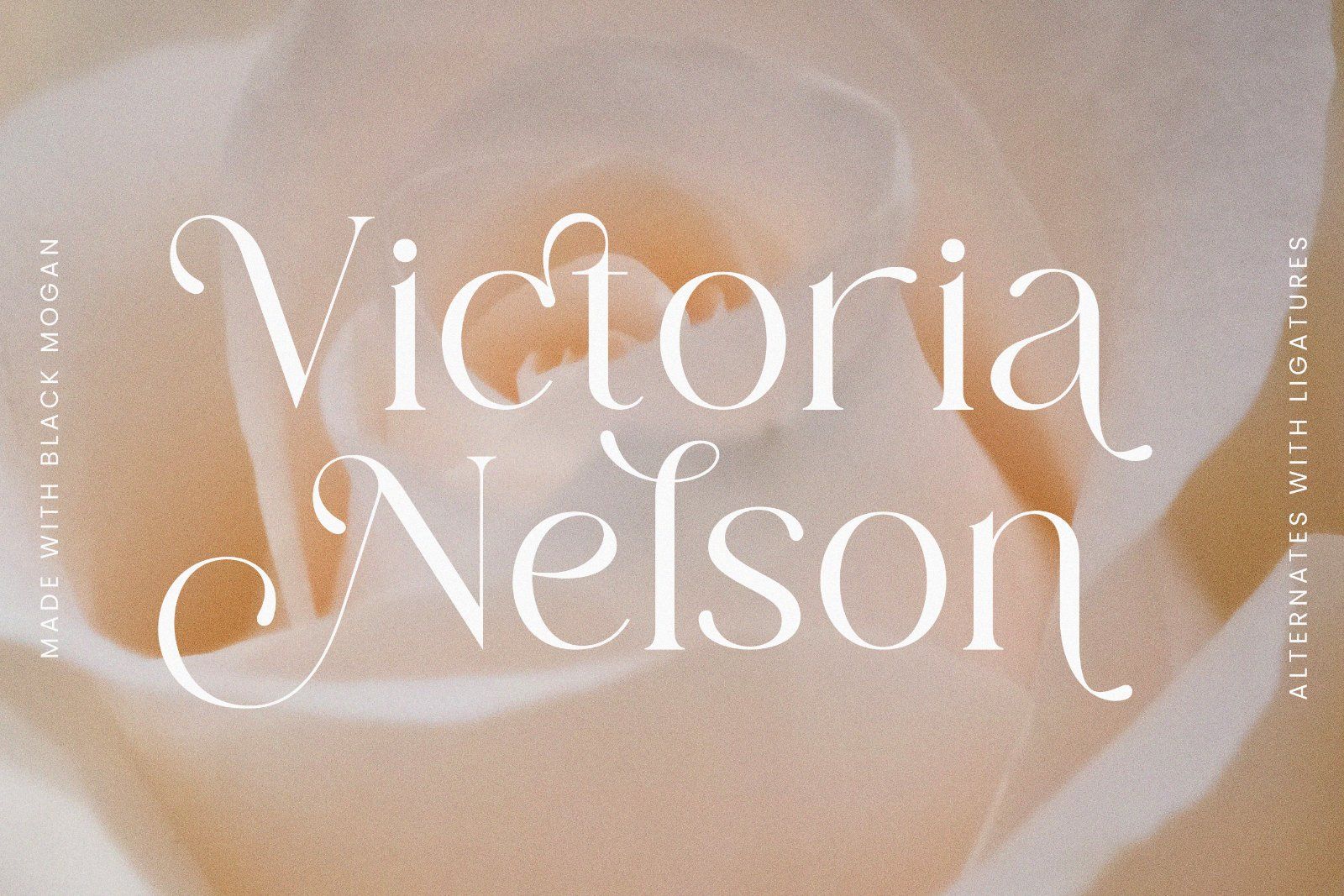 Mogan - Modern Serif Font — image 4